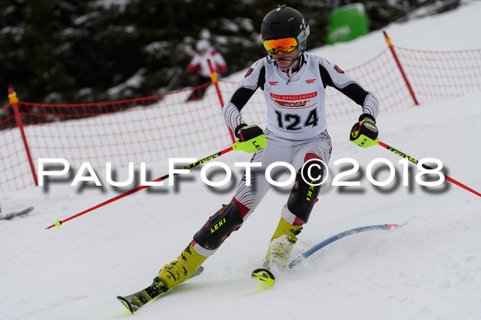 DSV Dt. Schülercup U14 SL 20.01.2018