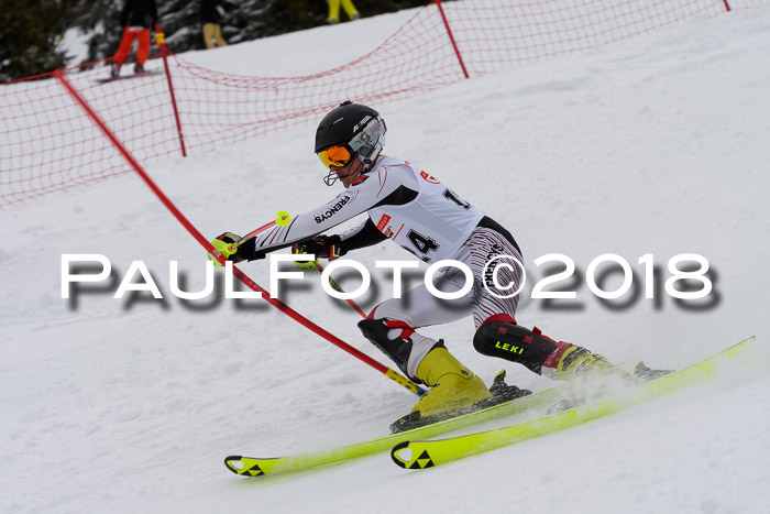 DSV Dt. Schülercup U14 SL 20.01.2018