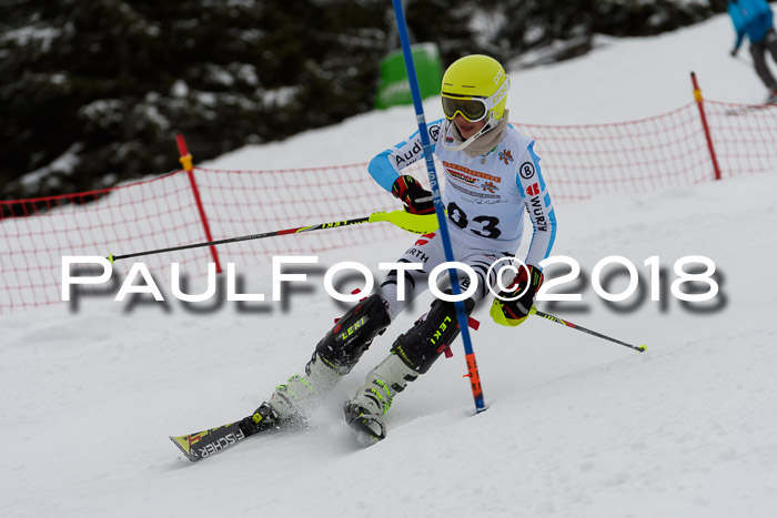 DSV Dt. Schülercup U14 SL 20.01.2018