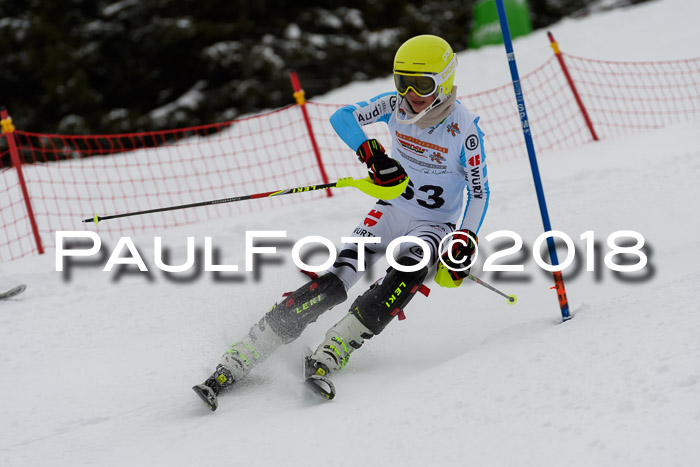 DSV Dt. Schülercup U14 SL 20.01.2018