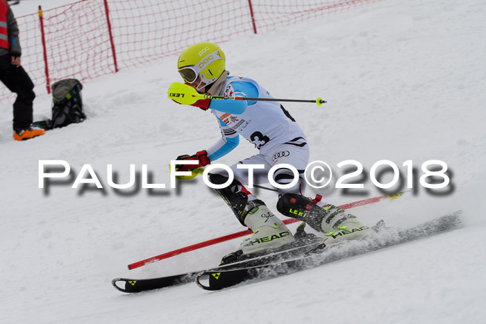 DSV Dt. Schülercup U14 SL 20.01.2018