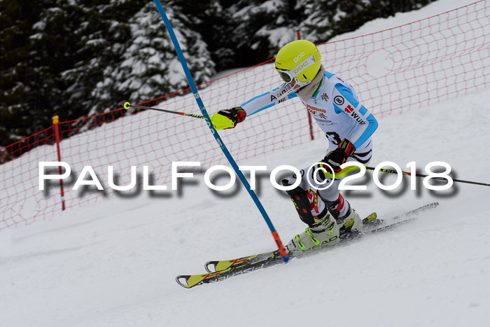 DSV Dt. Schülercup U14 SL 20.01.2018