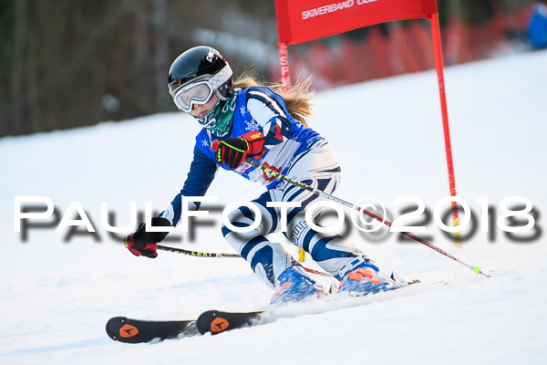 BSV U12 Ziener Kids Cross Cup 1 Region 4