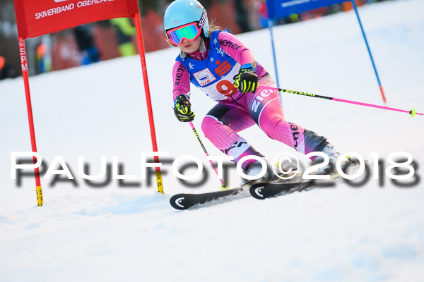 BSV U12 Ziener Kids Cross Cup 1 Region 4