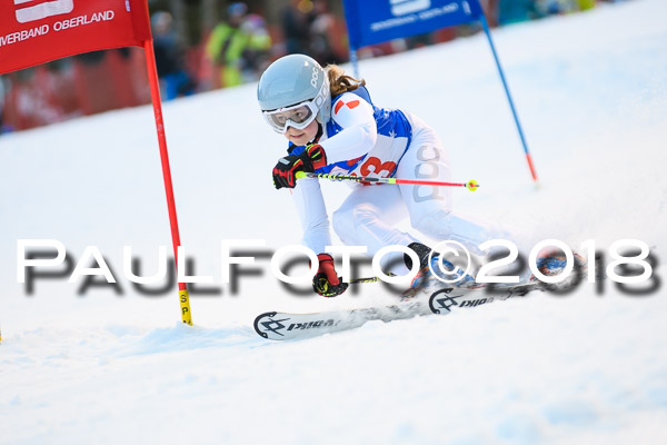 BSV U12 Ziener Kids Cross Cup 1 Region 4