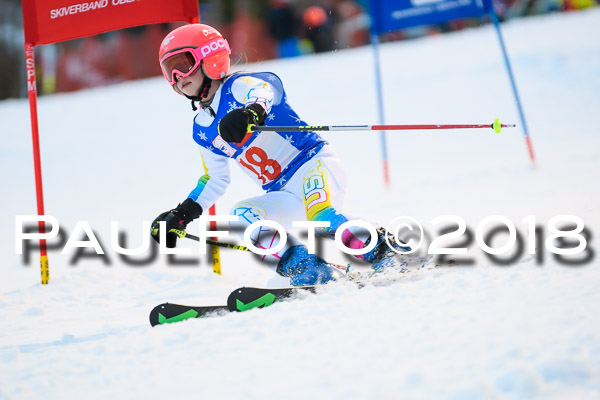 BSV U12 Ziener Kids Cross Cup 1 Region 4