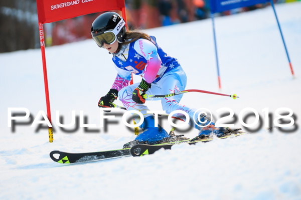 BSV U12 Ziener Kids Cross Cup 1 Region 4