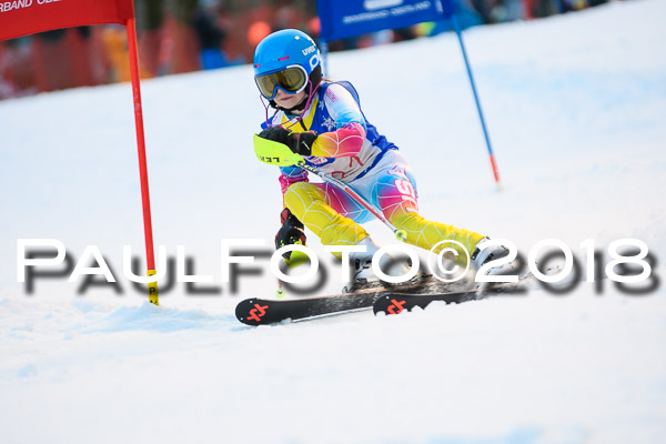 BSV U12 Ziener Kids Cross Cup 1 Region 4