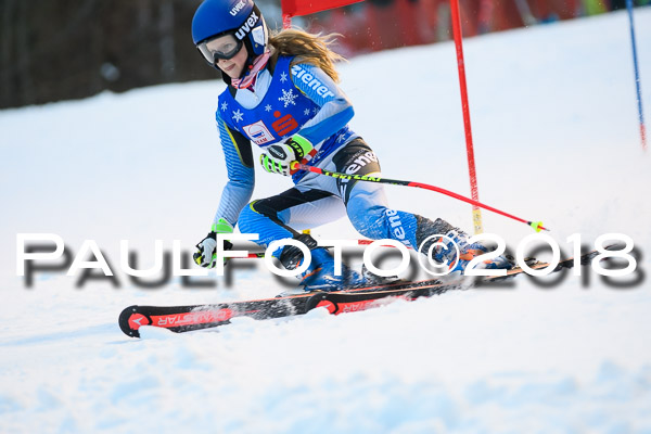 BSV U12 Ziener Kids Cross Cup 1 Region 4