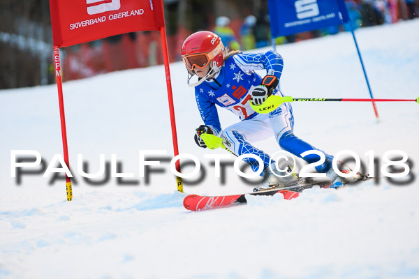 BSV U12 Ziener Kids Cross Cup 1 Region 4