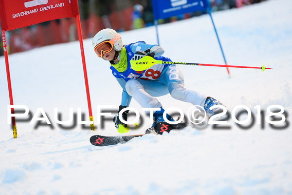 BSV U12 Ziener Kids Cross Cup 1 Region 4