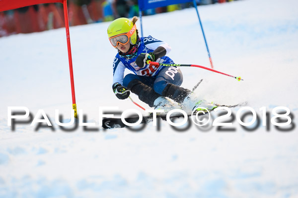 BSV U12 Ziener Kids Cross Cup 1 Region 4
