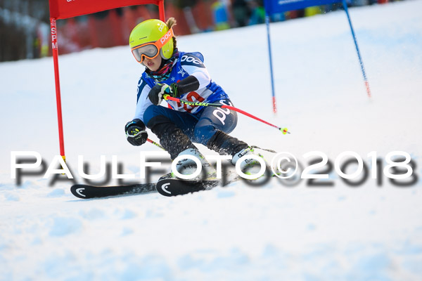 BSV U12 Ziener Kids Cross Cup 1 Region 4