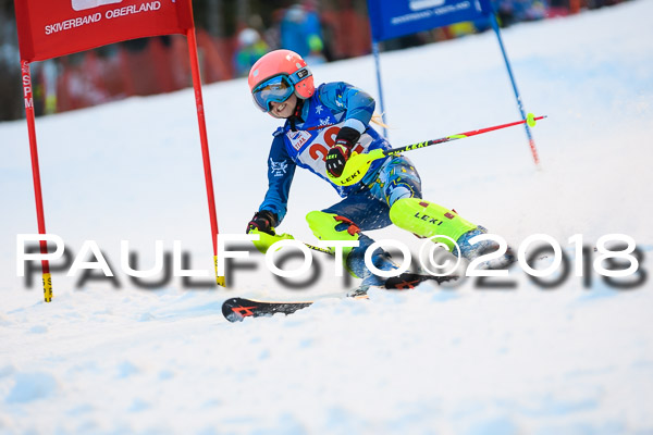 BSV U12 Ziener Kids Cross Cup 1 Region 4