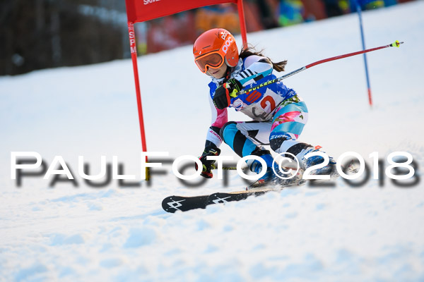 BSV U12 Ziener Kids Cross Cup 1 Region 4