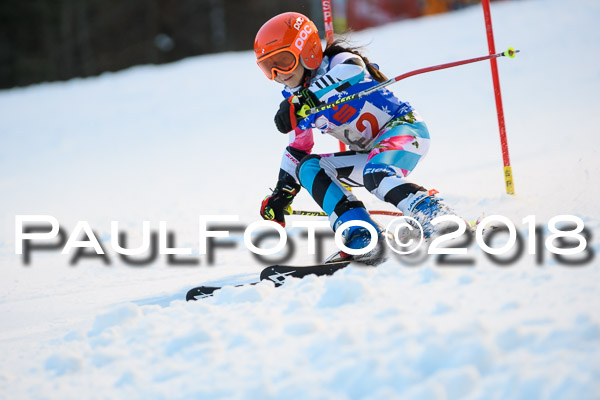 BSV U12 Ziener Kids Cross Cup 1 Region 4