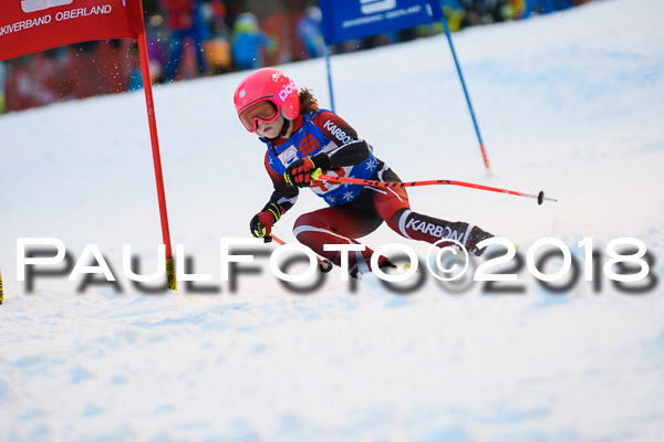 BSV U12 Ziener Kids Cross Cup 1 Region 4