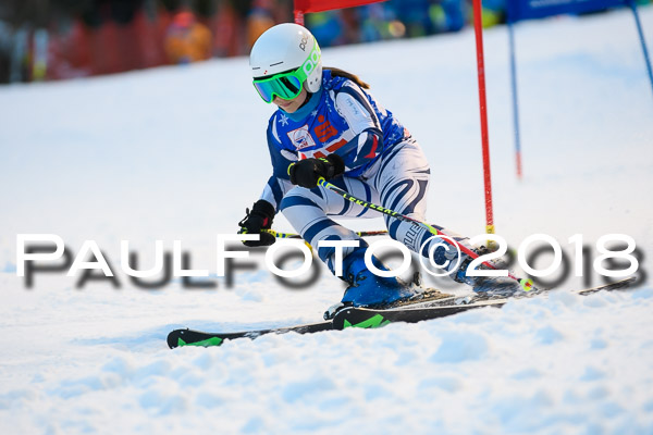 BSV U12 Ziener Kids Cross Cup 1 Region 4