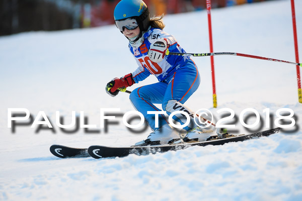 BSV U12 Ziener Kids Cross Cup 1 Region 4