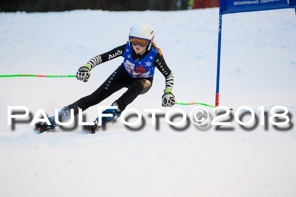 BSV U12 Ziener Kids Cross Cup 1 Region 4