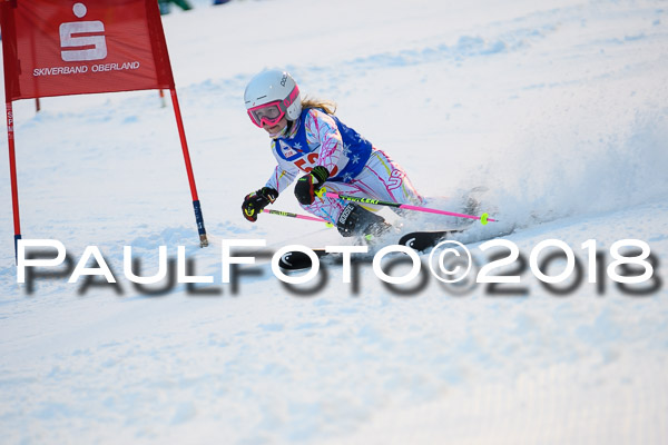 BSV U12 Ziener Kids Cross Cup 1 Region 4