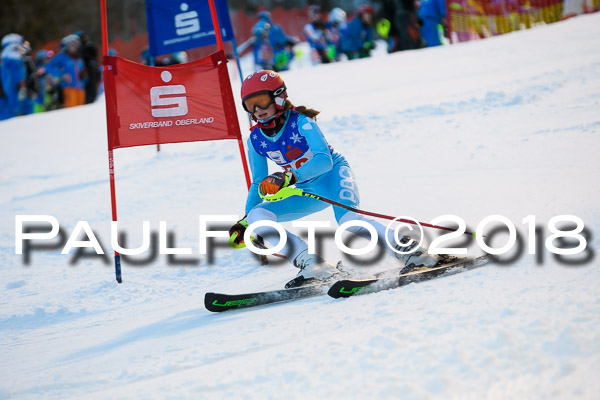 BSV U12 Ziener Kids Cross Cup 1 Region 4