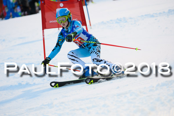 BSV U12 Ziener Kids Cross Cup 1 Region 4