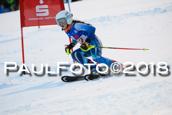BSV U12 Ziener Kids Cross Cup 1 Region 4