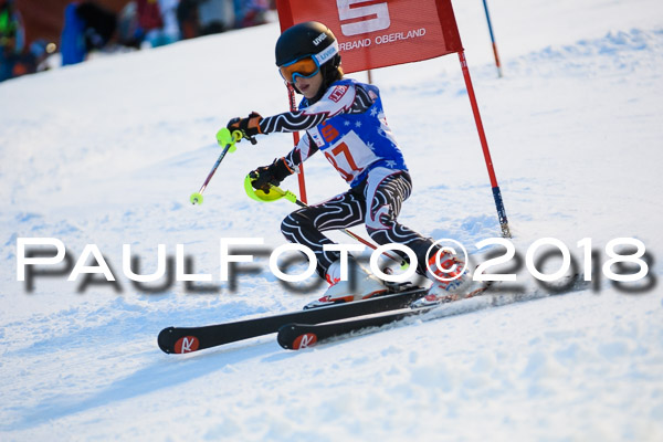 BSV U12 Ziener Kids Cross Cup 1 Region 4