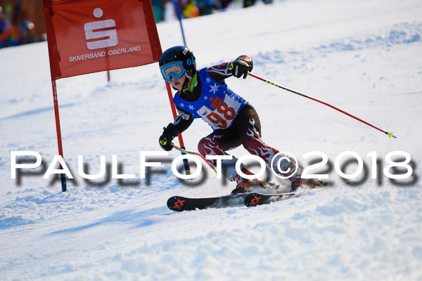 BSV U12 Ziener Kids Cross Cup 1 Region 4