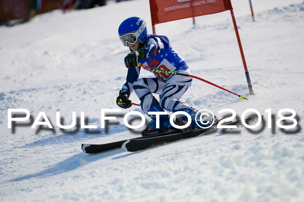 BSV U12 Ziener Kids Cross Cup 1 Region 4