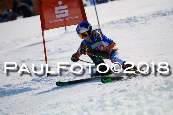 BSV U12 Ziener Kids Cross Cup 1 Region 4