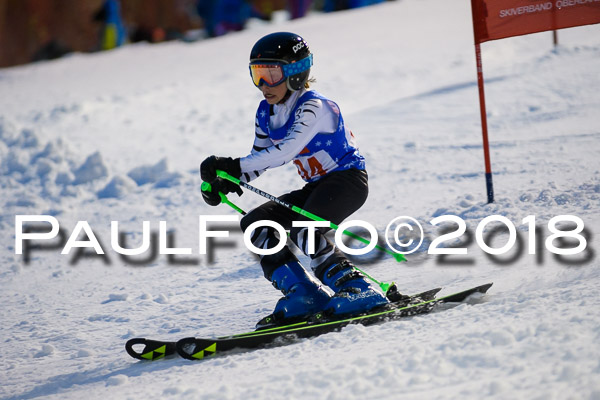 BSV U12 Ziener Kids Cross Cup 1 Region 4