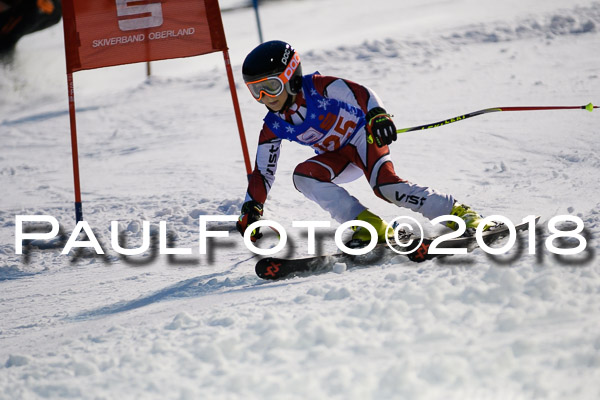 BSV U12 Ziener Kids Cross Cup 1 Region 4