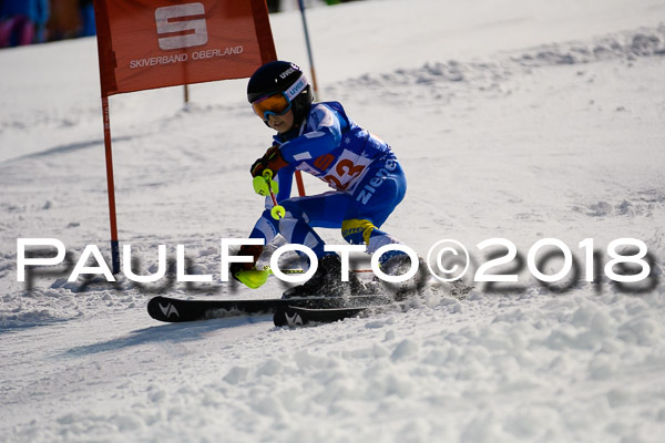 BSV U12 Ziener Kids Cross Cup 1 Region 4