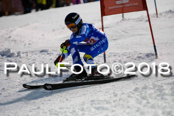 BSV U12 Ziener Kids Cross Cup 1 Region 4