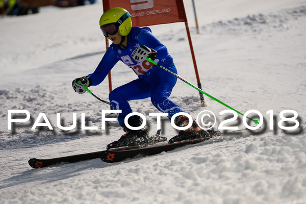 BSV U12 Ziener Kids Cross Cup 1 Region 4