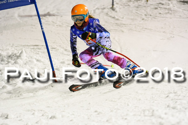 BSV U12 Ziener Kids Cross Cup 1 Region 4