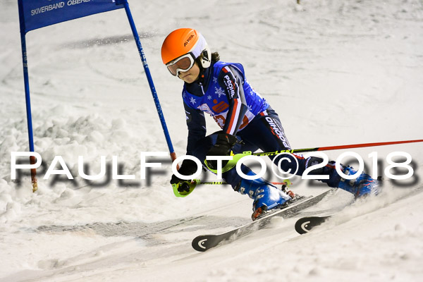 BSV U12 Ziener Kids Cross Cup 1 Region 4