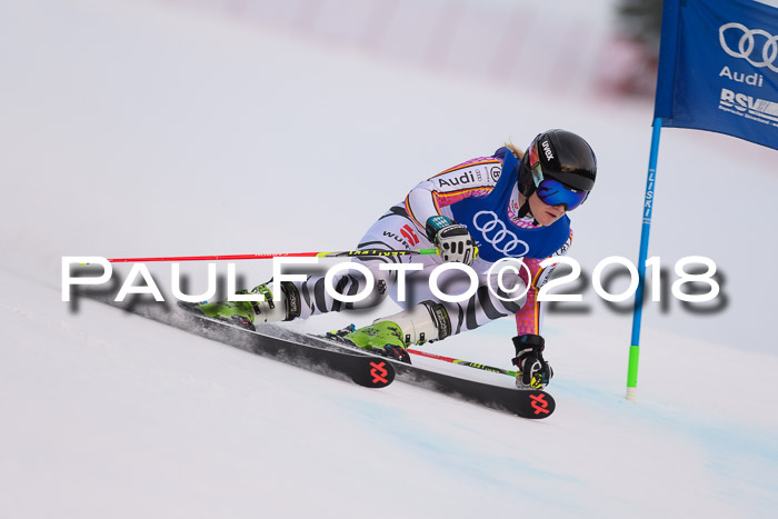 Bayerische Schülermeisterschaft Alpin Riesenslalom 27.01.2018