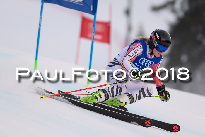 Bayerische Schülermeisterschaft Alpin Riesenslalom 27.01.2018