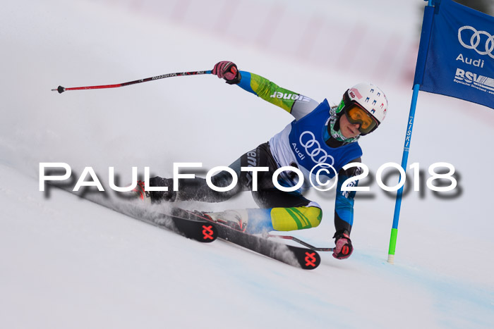 Bayerische Schülermeisterschaft Alpin Riesenslalom 27.01.2018