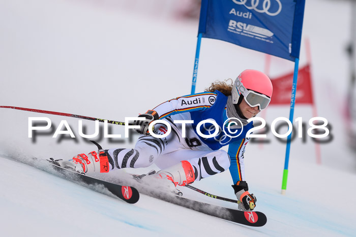 Bayerische Schülermeisterschaft Alpin Riesenslalom 27.01.2018