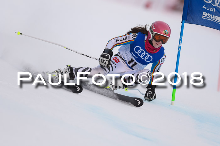 Bayerische Schülermeisterschaft Alpin Riesenslalom 27.01.2018