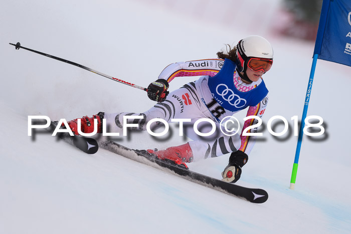 Bayerische Schülermeisterschaft Alpin Riesenslalom 27.01.2018