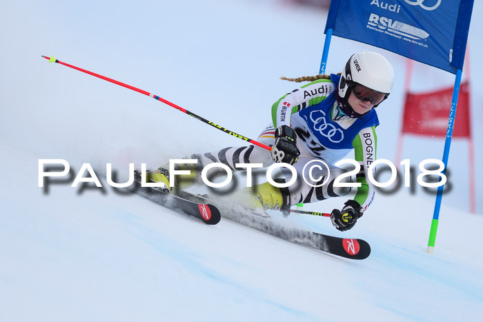 Bayerische Schülermeisterschaft Alpin Riesenslalom 27.01.2018