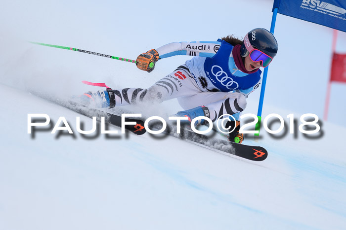 Bayerische Schülermeisterschaft Alpin Riesenslalom 27.01.2018