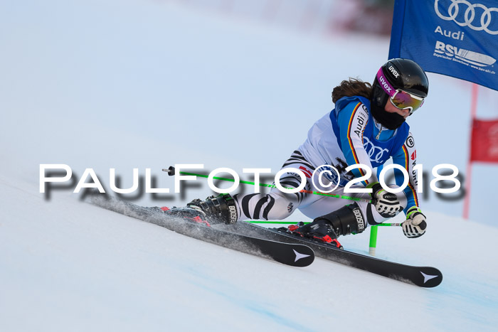 Bayerische Schülermeisterschaft Alpin Riesenslalom 27.01.2018