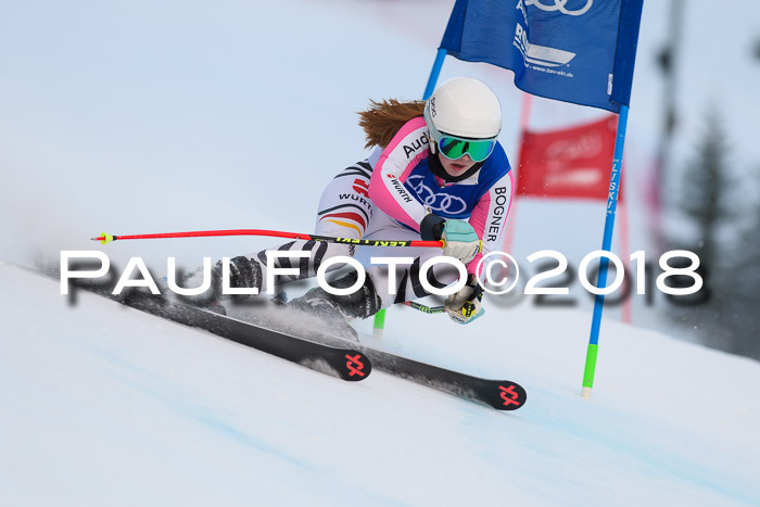 Bayerische Schülermeisterschaft Alpin Riesenslalom 27.01.2018