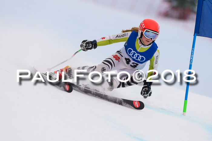 Bayerische Schülermeisterschaft Alpin Riesenslalom 27.01.2018